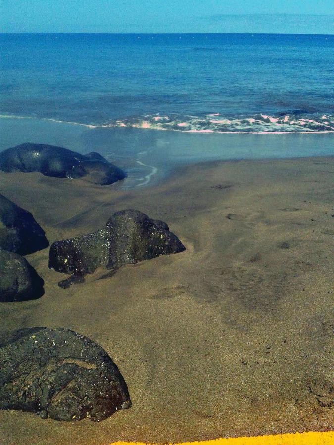 Apartamento A 1 Minuto De La Playa De Sardina Las Palmas de Gran Canaria Exterior photo
